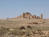 Palmyra: Grabtürme der Westnekropole im Tal der Gräber