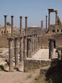 Bosra, Syrien