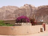 Wadi Rum, Jordanien