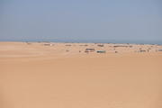 Ramlat al-Wahiba, Oman