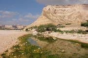 Wadi Ash-Shuwaymiyah, Shuwaymiyah, Oman, Dhofar