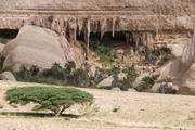 Wadi Ash-Shuwaymiyah, Shuwaymiyah, Oman, Dhofar