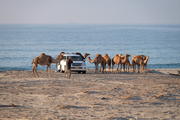Oman, Dhofar