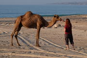 Oman, Dhofar
