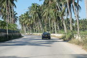 Salalah, Oman, Dhofar