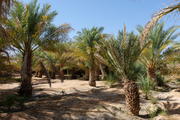 Rub al-Khali, Oman, Dhofar