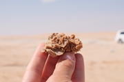 Rub al-Khali, Oman, Dhofar