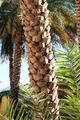 Misfah, Oman