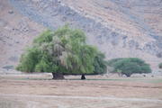 Oman, Musandam