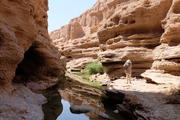 Kalle Djenni (Tal der Geister), Iran
