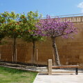 Burggraben der Zitadelle in Rabat (Victoria), Insel Gozo, Malta