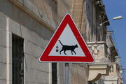 Verkehrszeichen "Vorsicht: Katzen"
