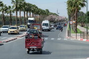 Palmen und blühende Bäume in Marrakech, Marokko
