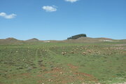 Landschaft mit Schafen und Nomadenlager