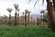 Oase Oulad Otmane, Marokko