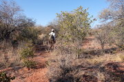 Waterberg Plateau, Namibia