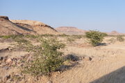 Landschaft in der Nähe des Mount Rooiberg auf der Fahrt von Khorixas nach Twyfelfontein, Namibia