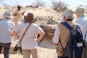 Versteinerter Wald (Petrified Forest), Namibia