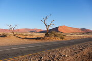 Sanddünen und abgestorbene Bäume im Sossusvlei, Namibia