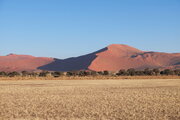 Gesichtsdüne im Sossusvlei, Namibia