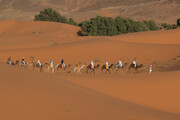 Touristen auf Kamelen im Erg Chebbi, Marokko