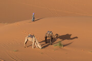 Erg Chebbi, Marokko